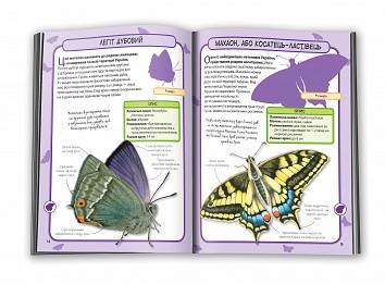 Butterflies. Mini-encyclopedia