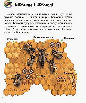 Комахи. Енциклопедія дошкільника
