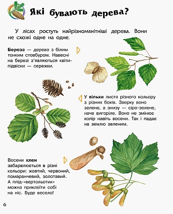Ліс. Енциклопедія дошкільника