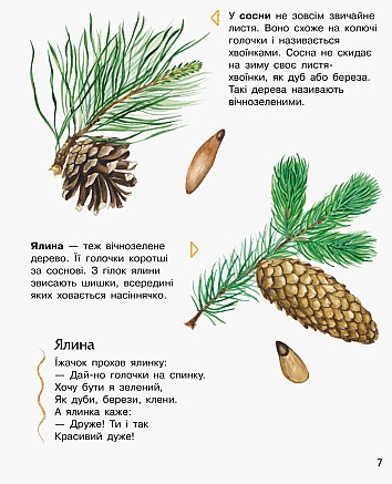 Ліс. Енциклопедія дошкільника