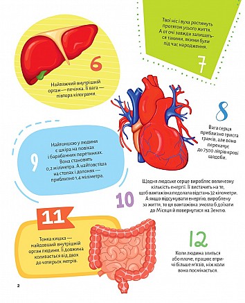 Human body. 100 interesting facts