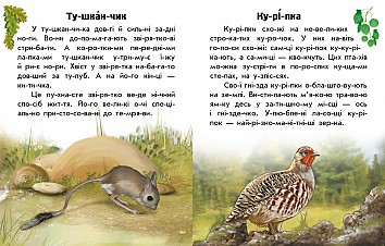 I read about Ukraine. Animals of the steppes