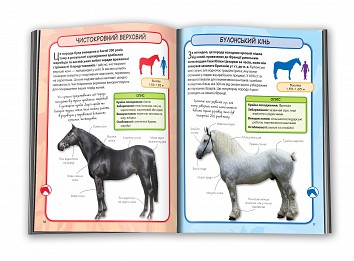 Horses and ponies. Mini-encyclopedia