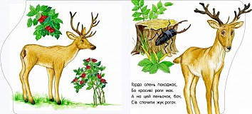 У зоопарку. Перші кроки