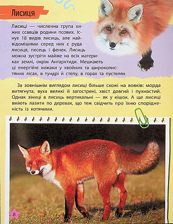Mini encyclopedia. Animals