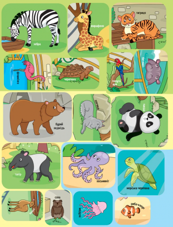 Animals in the zoo