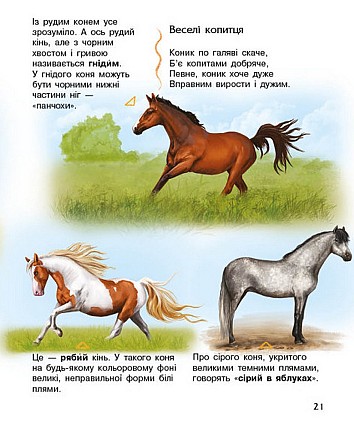 Коні. Енциклопедія дошкільника
