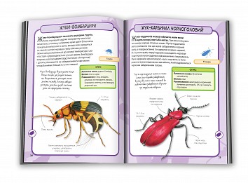 Insects. Mini-encyclopedia