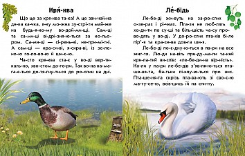 Читаю про Україну. Тварини річок та морів