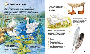 Свійські тварини. Енциклопедія дошкільника