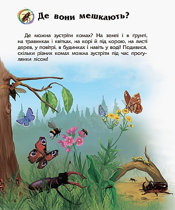 Комахи. Енциклопедія дошкільника