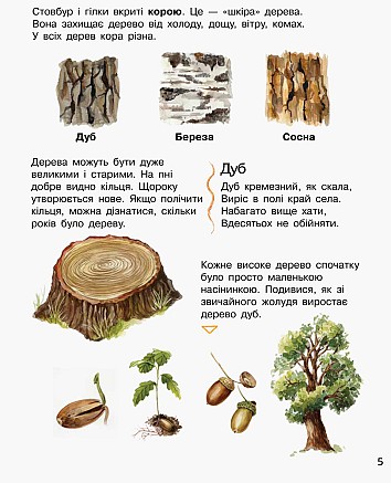 Ліс. Енциклопедія дошкільника