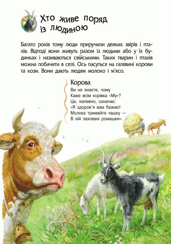 Тварини. Енциклопедія дошкільника