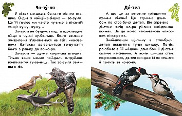 Читаю про Україну. Тварини лісів