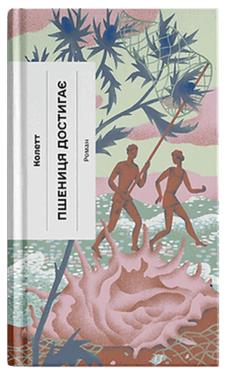 Пшениця достигає