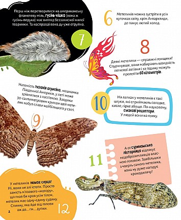 Insects. 100 interesting facts