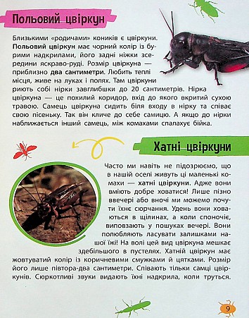 Mini encyclopedia. Insects and spiders