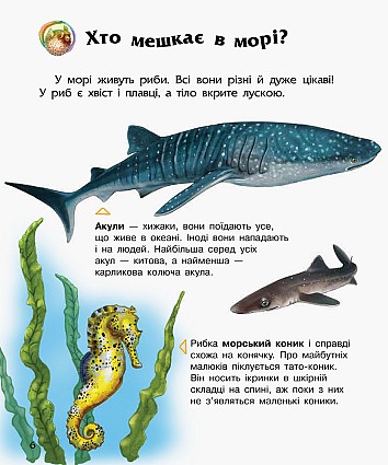 Океани та моря. Енциклопедія дошкільника
