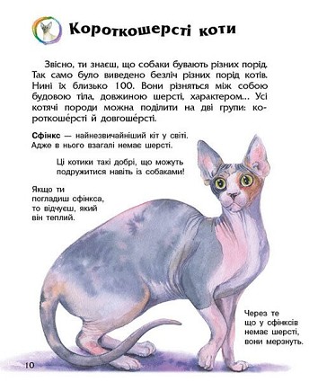 Коти. Енциклопедія дошкільника