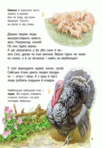 Тварини. Енциклопедія дошкільника