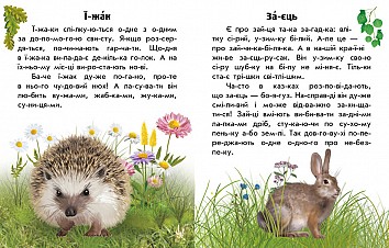 I read about Ukraine. Forest animals