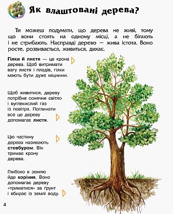 Ліс. Енциклопедія дошкільника