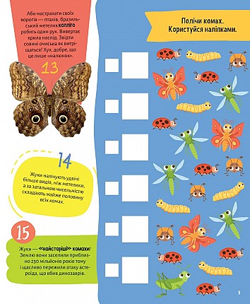 Insects. 100 interesting facts