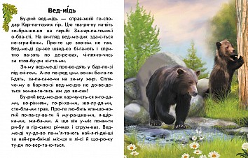 I read about Ukraine. Animals of the mountains
