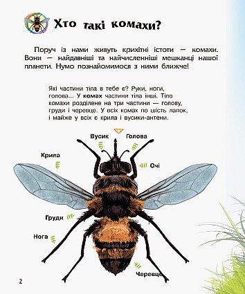 Комахи. Енциклопедія дошкільника
