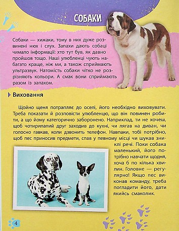 Mini encyclopedia. Pets