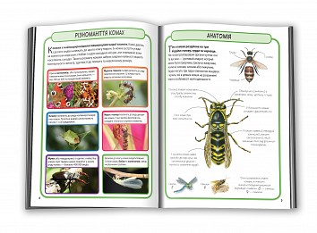 Insects. Mini-encyclopedia