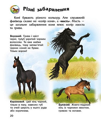Коні. Енциклопедія дошкільника