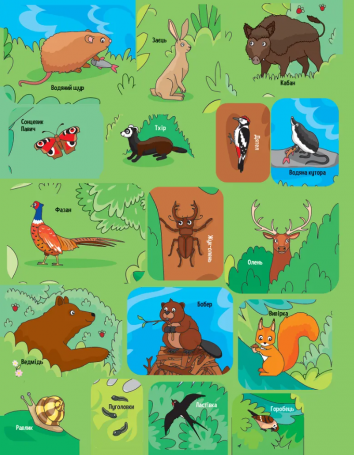 Animals in the forest