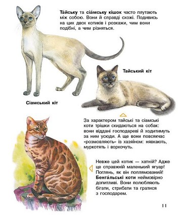 Коти. Енциклопедія дошкільника