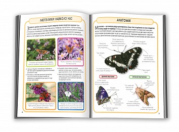 Butterflies. Mini-encyclopedia