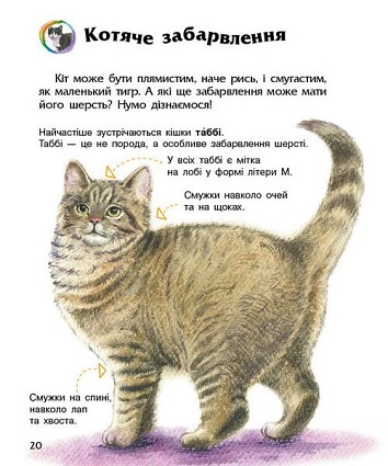 Коти. Енциклопедія дошкільника