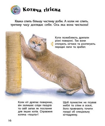 Коти. Енциклопедія дошкільника