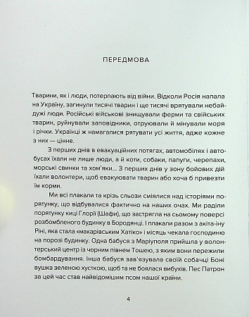 Єнот Ракета та інші герої