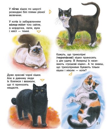 Коти. Енциклопедія дошкільника