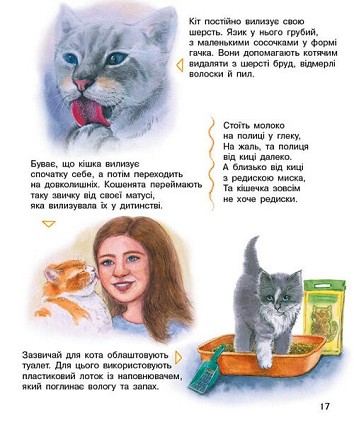 Коти. Енциклопедія дошкільника